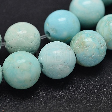 Natural Howlite Beads Strands TURQ-P027-17-6mm-1