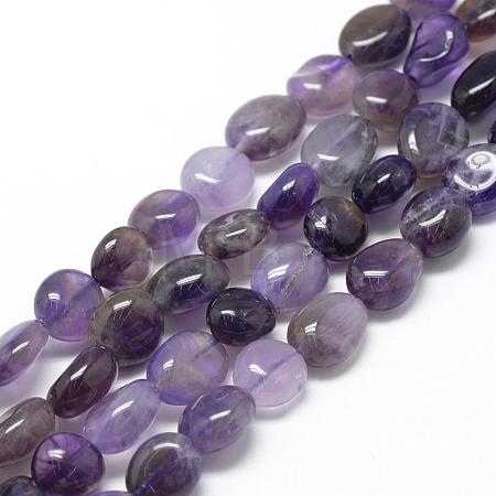 Natural Amethyst Beads Strands G-R445-8x10-02-1