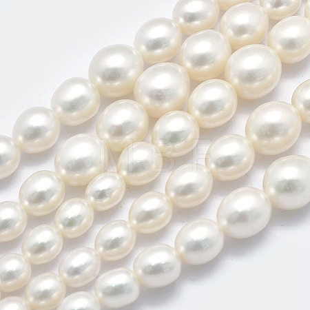 Natural Cultured Freshwater Pearl Beads Strands PEAR-K003-21C-1