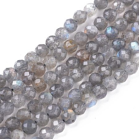 Natural Labradorite Beads Strands X-G-R475-025C-1