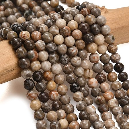 Natural Fossil Coral Beads Strands G-C288-A01-6mm-1