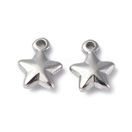 Non-Tarnish 304 Stainless Steel Charms STAS-C066-19P-1