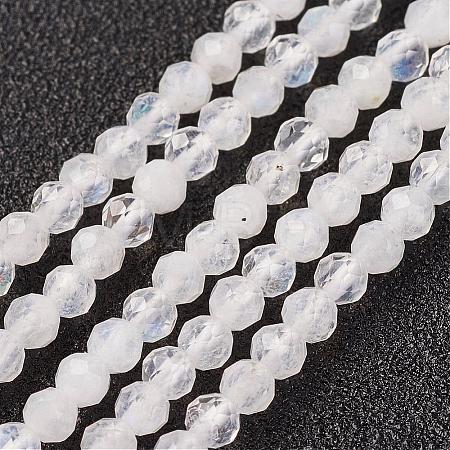 Natural Rainbow Moonstone Bead Strand G-G680-53-1