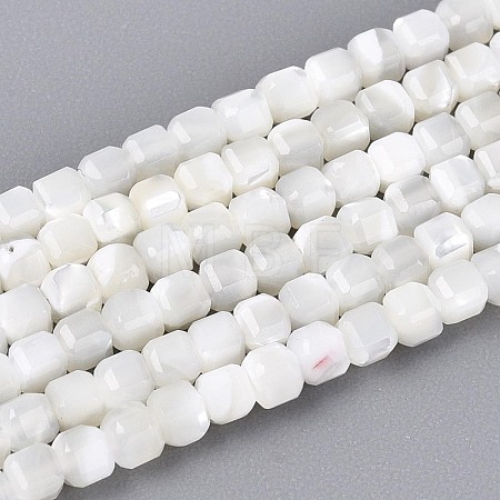 Natural Trochid Shell/Trochus Shell Beads Strands BSHE-T014-52A-01-1