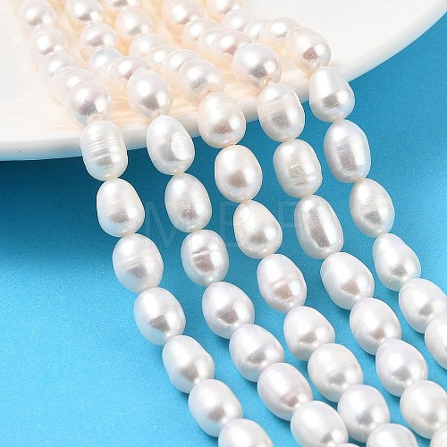 Natural Cultured Freshwater Pearl Beads Strands PEAR-I007-01D-06A-01-1