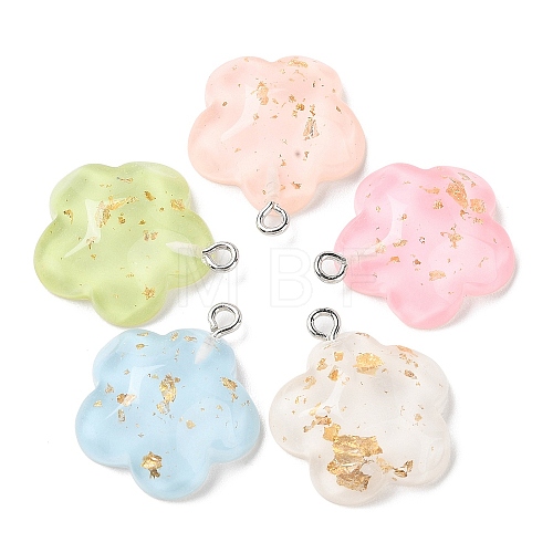 Translucent Resin Pendants RESI-A025-05A-1