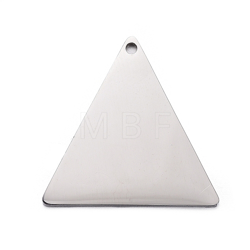 304 Stainless Steel Pendants STAS-F254-03A-P-1