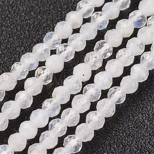 Natural Rainbow Moonstone Bead Strand G-G680-53-1