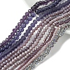 Electroplate Glass Beads Strands EGLA-FS0001-42F-2
