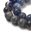 Natural Sodalite Beads Strands GSR8mmC013-1-3