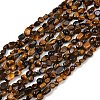 Natural Tiger Eye Beads Strands G-Q060-D08-2