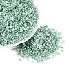 Baking Paint Glass Seed Beads SEED-Q041-03A-03-1