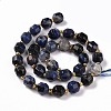 Natural Sodalite Beads Strands with Seed Beads G-G990-E01-3