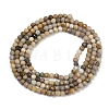 Natural Alashan Agate Beads Strands G-C181-B05-01-3