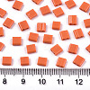 2-Hole Glass Seed Beads X-SEED-S031-L-ST50-2