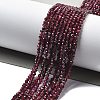 Natural Garnet Beads Strands G-H079-A01-02B-2