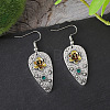 Alloy & Rhinestone Dangle Earrings FS-WGD70E2-01-4