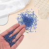 3000Pcs Glass Seed Beads SEED-PA0001-29A-02-3