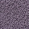 MIYUKI Round Rocailles Beads X-SEED-G007-RR0437-3
