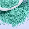 MIYUKI Delica Beads SEED-X0054-DB2122-1