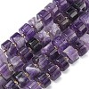 Natural Amethyst Beads Strands G-C270-I06-01-2