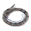 Natural Labradorite Beads Strands G-I256-09-2