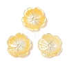 Natural Yellow Shell Carved Beads SSHEL-I026-12A-01-1