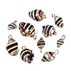Electroplate Natural Spiral Shell Pendants SSHEL-Q100-42G-1