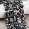Natural Botswana Agate Beads Strands G-P611-A01-02-1