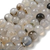 Faceted Natural Agate Beads Strands G-F447-12mm-K02-1