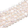 Natural Cultured Freshwater Pearl Beads Strands PEAR-T006-18B-2