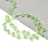 K9 Glass Beads Strands GLAA-Q102-02E-2