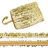 Polyester with Paillette Lace Trim Ribbon OCOR-WH0101-90E-1