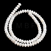 Natural Freshwater Shell Beads Strands SHEL-C010-04A-02-3