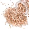 TOHO 8/0 Round Beads X-SEED-TR08-0031-1