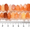 Natural Orange Botswana Agate Beads Strands G-N327-05-19-5