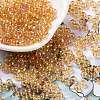 Glass Seed Beads SEED-H002-A-A624-1