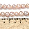 Natural Cultured Freshwater Pearl Beads Strands PEAR-L034-12C-5