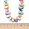 Ocean Natural Freshwater Shell Nuggets Beaded Necklaces NJEW-JN06281-4