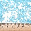 8/0 Glass Seed Beads X1-SEED-A011-3mm-143-4