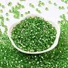 6/0 Glass Seed Beads SEED-T006-04C-02-2