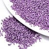 11/0 Grade A Baking Paint Glass Seed Beads SEED-S030-1043-1