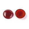 Natural Carnelian Cabochons G-F608-04C-01-2