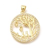 Rack Plating Brass Micro Pave Cubic Zirconia Pendants KK-L226-051G-03-1