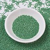 MIYUKI Delica Beads SEED-MY11-DB0877-2