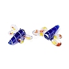 Autumn Handmade Lampwork Beads LAMP-Q031-017-05-2