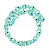 Handmade Lampwork Beads Strands LAMP-G154-07P-2