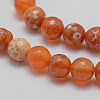 Natural Fire Crackle Agate Bead Strands G-K166-07F-8mm-10-3