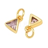 Brass Pave Cubic Zirconia Charms CU-CBA3D67-10G-3