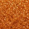 TOHO 8/0 Round Beads SEED-XTR08-0002B-2